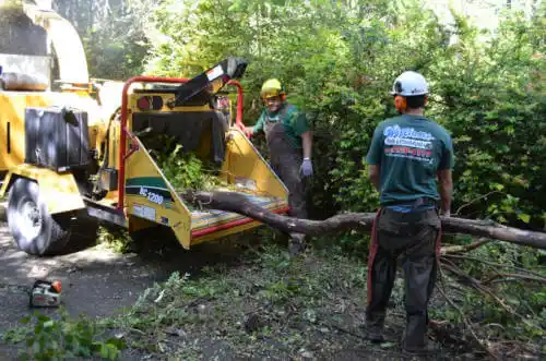 tree services Delleker